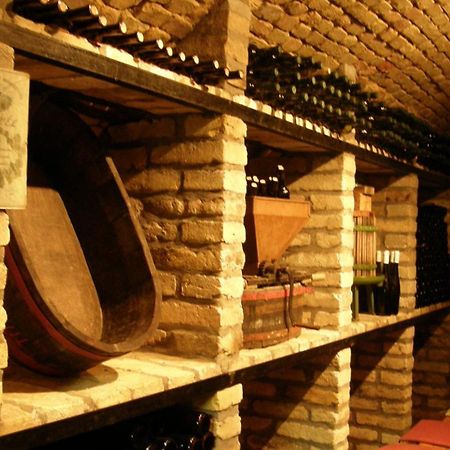 Hotel Borbaratok Panzio Badacsonytomaj Zewnętrze zdjęcie