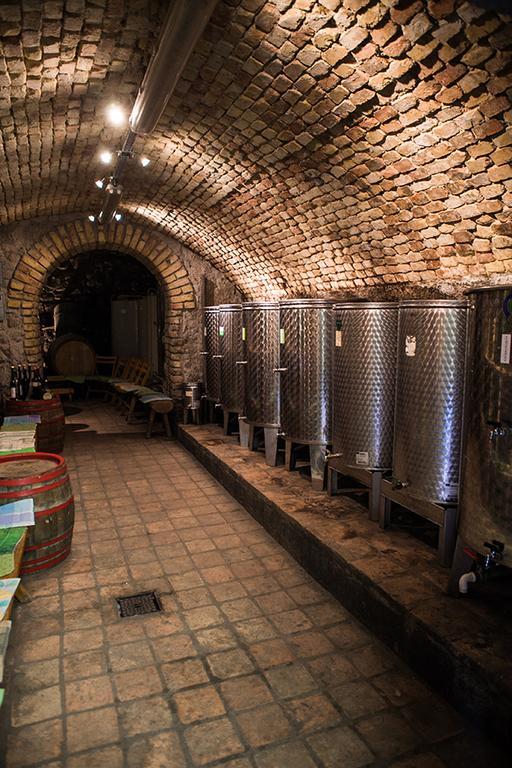 Hotel Borbaratok Panzio Badacsonytomaj Zewnętrze zdjęcie