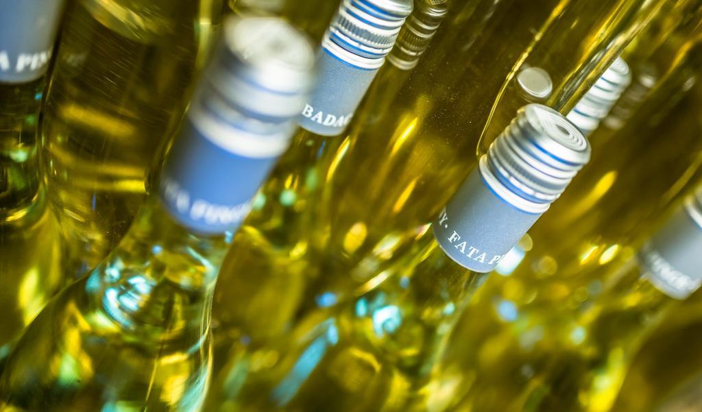 Hotel Borbaratok Panzio Badacsonytomaj Zewnętrze zdjęcie